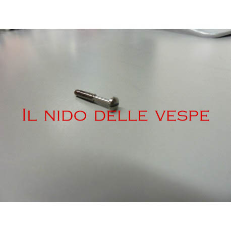 VITE PER FANALE POSTERIORE VESPA VNB6T,GL,SS